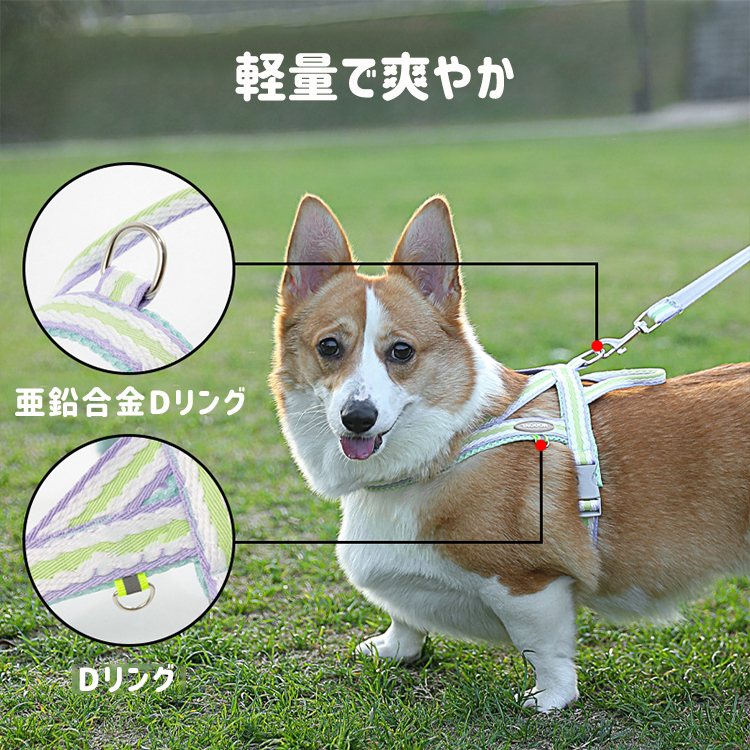 giipet-ペットハーネス リードかわいい 引っ張り防止 抜けにくい 脱着便利