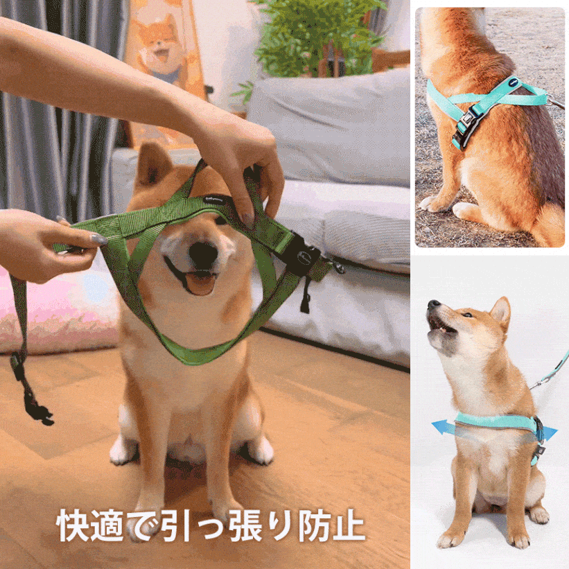 giipet-ペットハーネス　T型　引っ張り防止　抜けにくい　窮屈感ゼロ　快適　装着簡単
