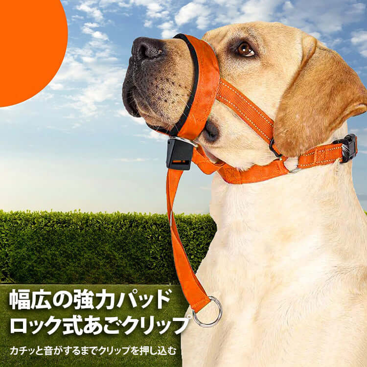 giipet-犬用リード 噛み癖防止 無駄吠え防止 抜けにくい-Giipet