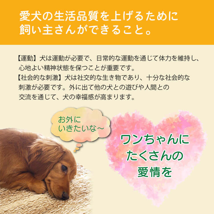 giipet-犬用介護ハーネス　歩行補助・老犬の介護に　-Giipet