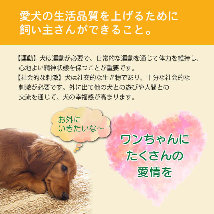 giipet-犬用介護ハーネス 歩行補助・老犬の介護に -Giipet