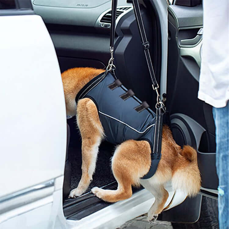 giipet-犬用介護ハーネス　歩行補助・老犬の介護に　-Giipet