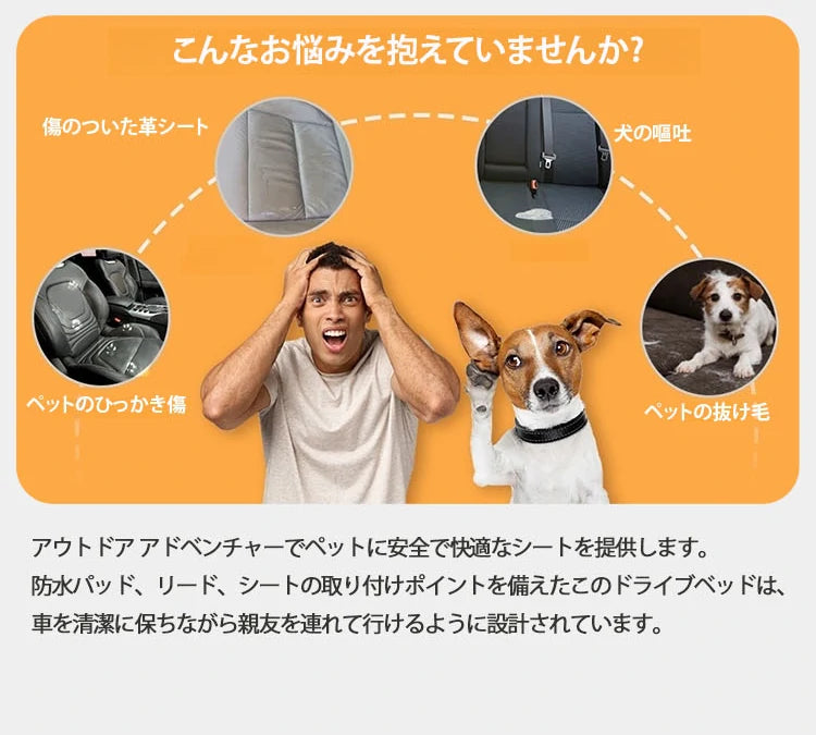 メイベットDC 犬用 2g×60包×2箱 《送料無料》（新品 未使用
