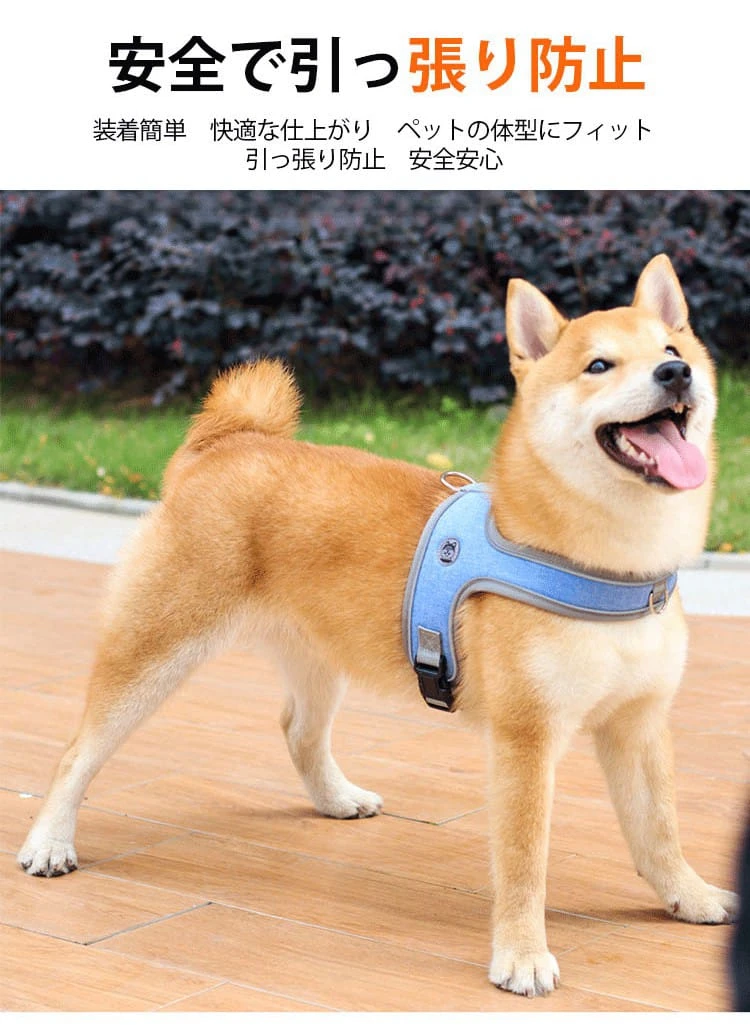 sdherhtrtjf5rk6tyy67lyul67l_11.webp