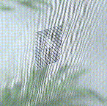 1599881241814261.gif