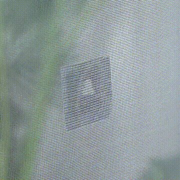 1599881217726485.gif