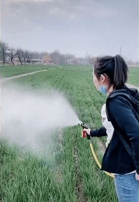 87e13dc9896f16c38c7332dcae279974.mp4.f30[00_00_03--00_00_23].gif