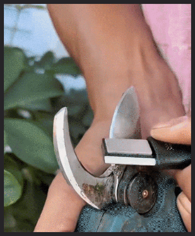 123_11.gif