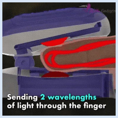 123_08.gif