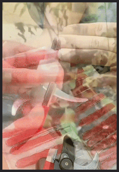 123_09.gif