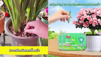 แท่งสารอาหารเสริมพืชสําหรับผักและผลไม้