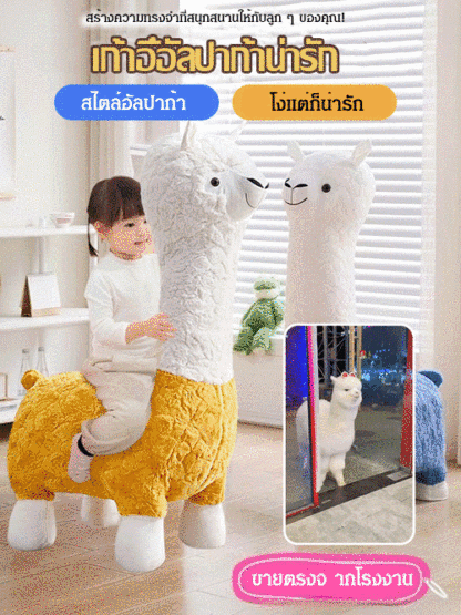 เก้าอี้อัลปาก้าลูกรอกคนดังทางอินเทอร์เน็ต