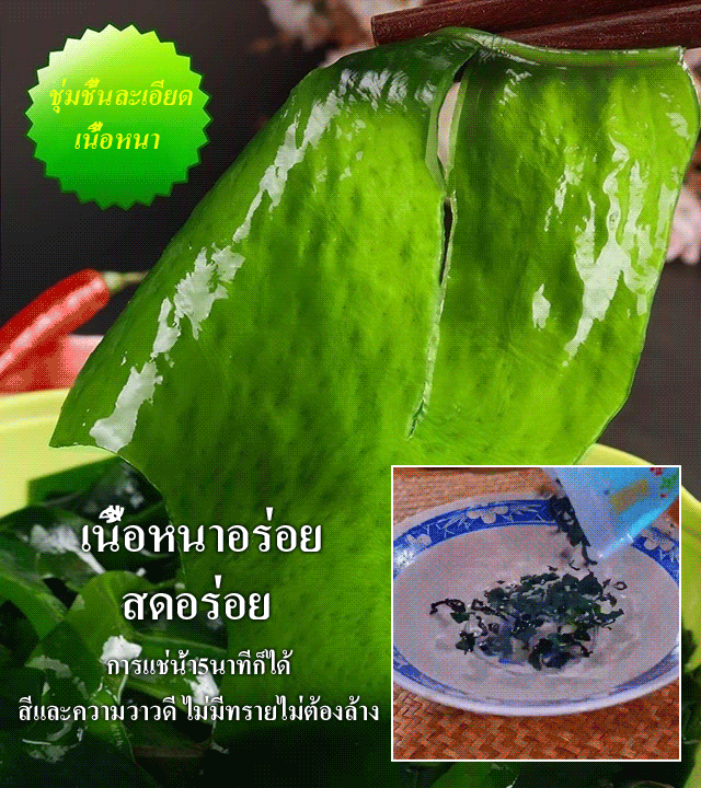 สุขภาพไขมันต่ำ สาหร่ายวากาเมะแห้ง