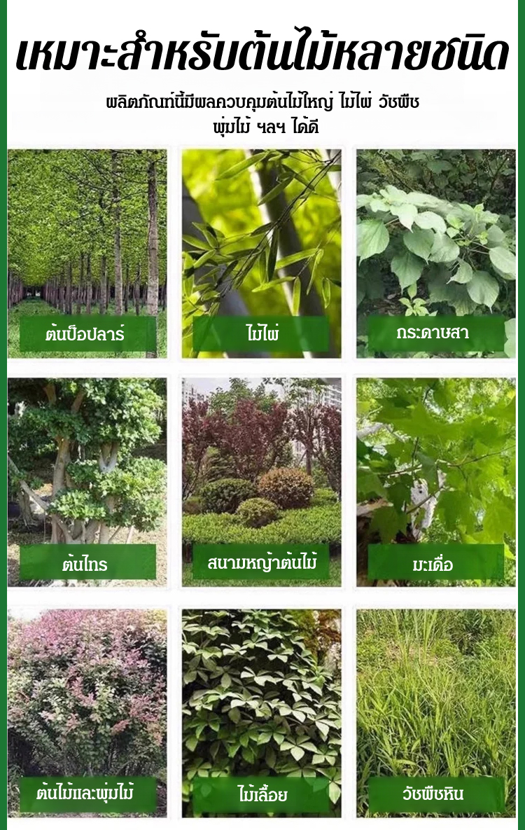 翻译件-JS-一针倒环嗪酮开荒剂-1154792_10.jpg