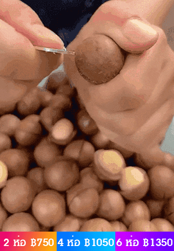 【ราชาแห่งผลไม้พันชนิด】ถั่วแมคคาเดเมียอบด้วยอุณหภูมิต่ำ