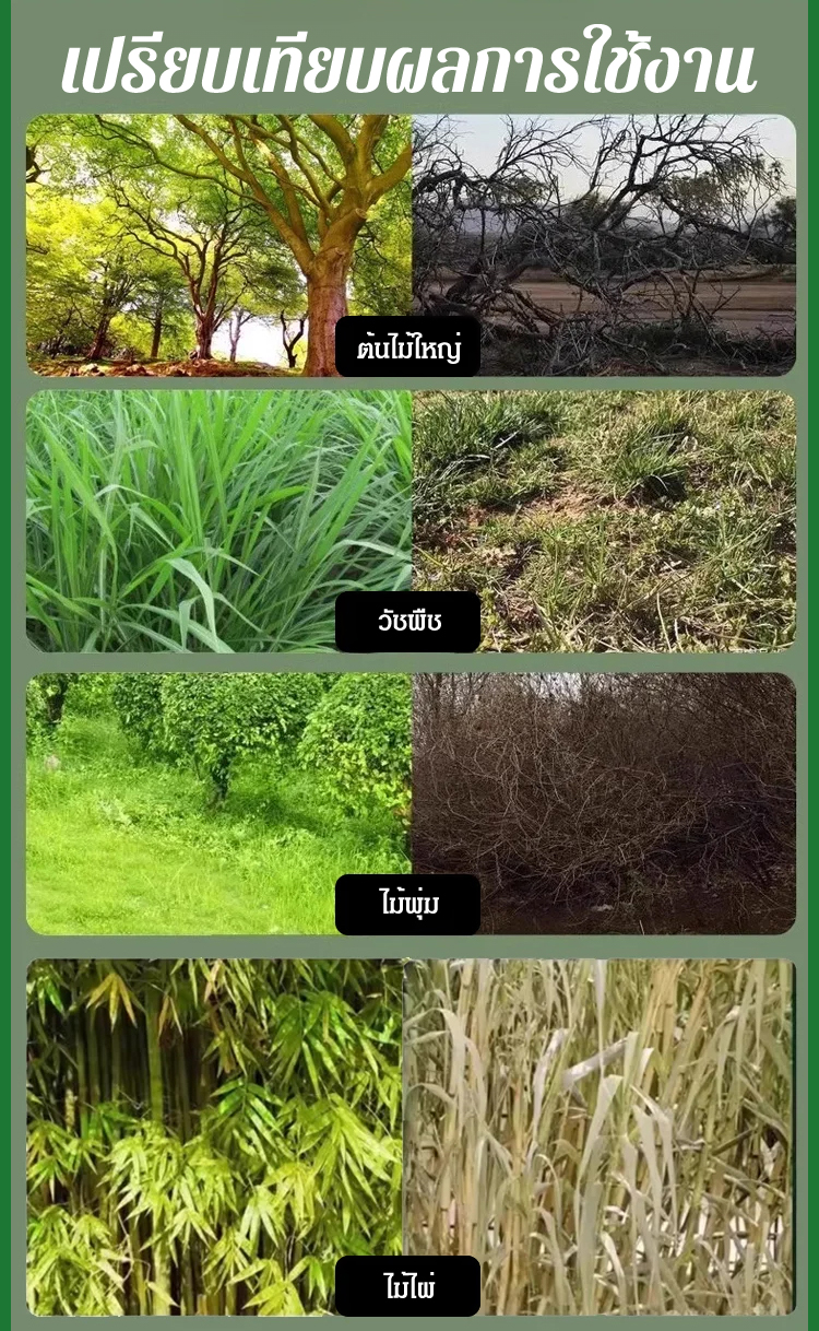 翻译件-JS-一针倒环嗪酮开荒剂-1154792_08.jpg