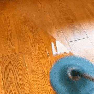 1_12.gif