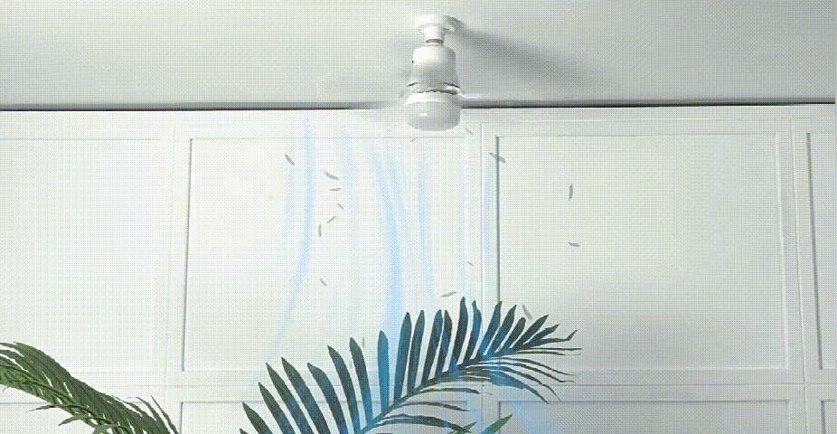 20240311.gif