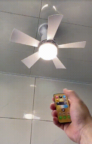 user536764849 - 7362201795701067026 (1).gif