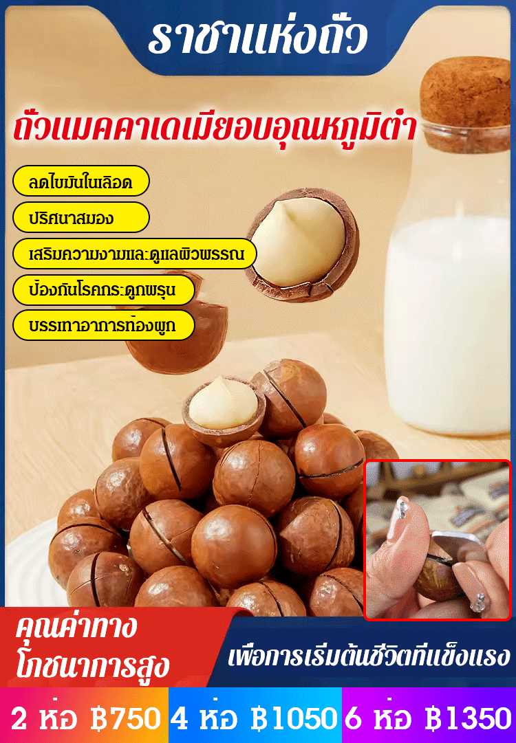 【ราชาแห่งผลไม้พันชนิด】ถั่วแมคคาเดเมียอบด้วยอุณหภูมิต่ำ