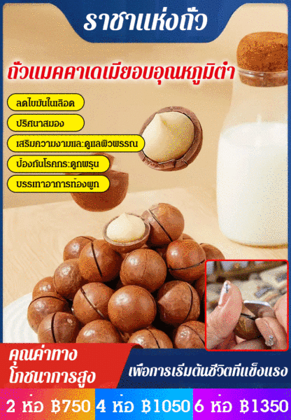 【ราชาแห่งผลไม้พันชนิด】ถั่วแมคคาเดเมียอบด้วยอุณหภูมิต่ำ
