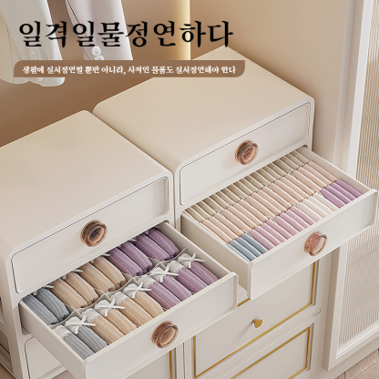 보디 웨어 수납함 속옷 바지 수납함 속옷 팬티 수납 칸 실용적인 수납 정리함