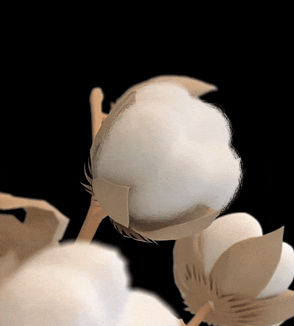20240619_100342_117.gif