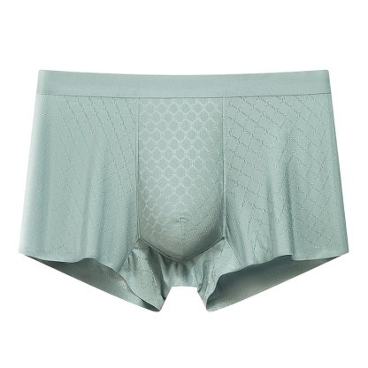 سروال داخلي رجالي من الحرير الجليدي المضاد للبكتيريا، مقاس كبير، قصير ذو زوايا مريحة للرجال في الصيف