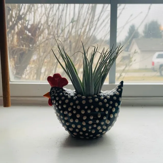 🐓Chicken flowerpot ornament