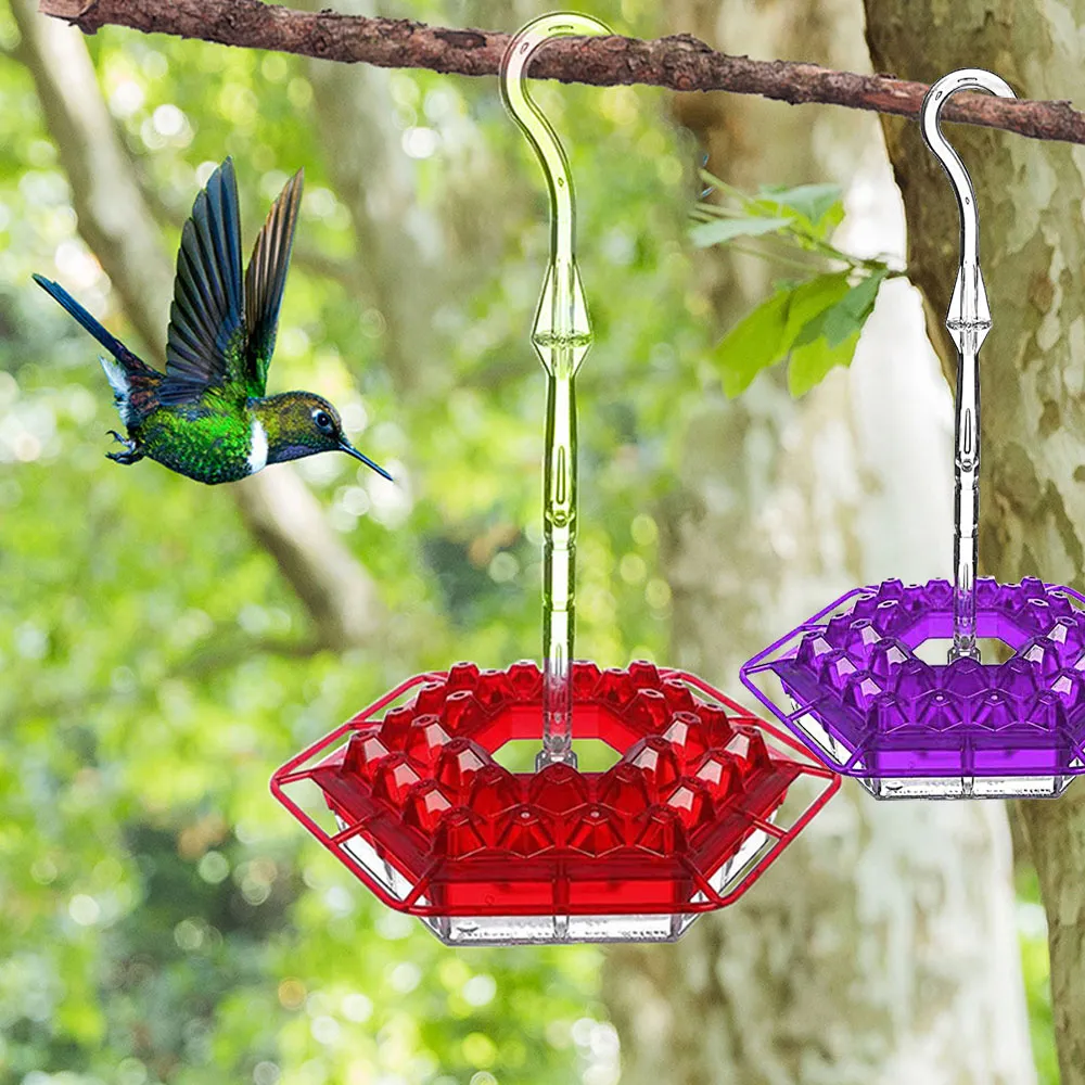 Hummingbird Feeder With Perch And Built-in Ant Moat