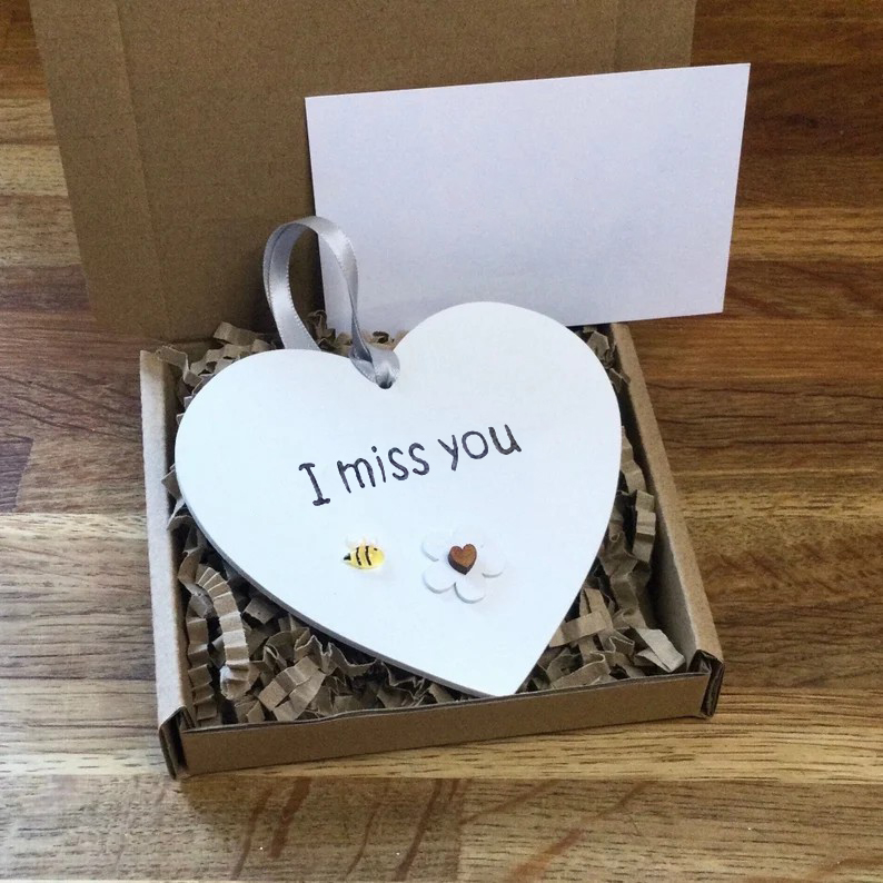 💖Emotional Support Lovely Gift