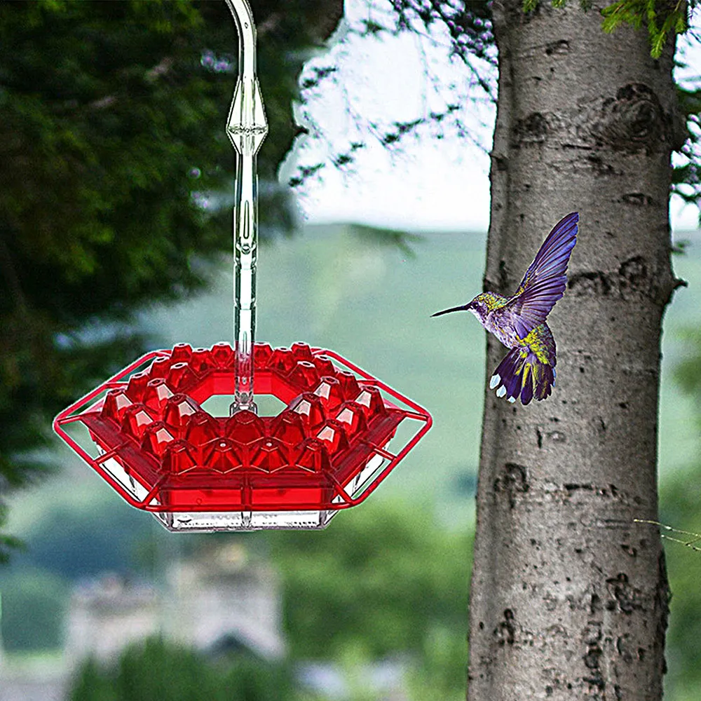 Hummingbird Feeder With Perch And Built-in Ant Moat