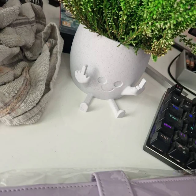 🤣Smiling Plant Pot with Middle Fingers Up