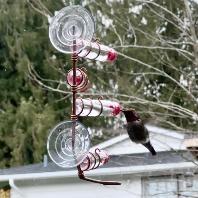 🐦Geometric Window Hummingbird Feeder