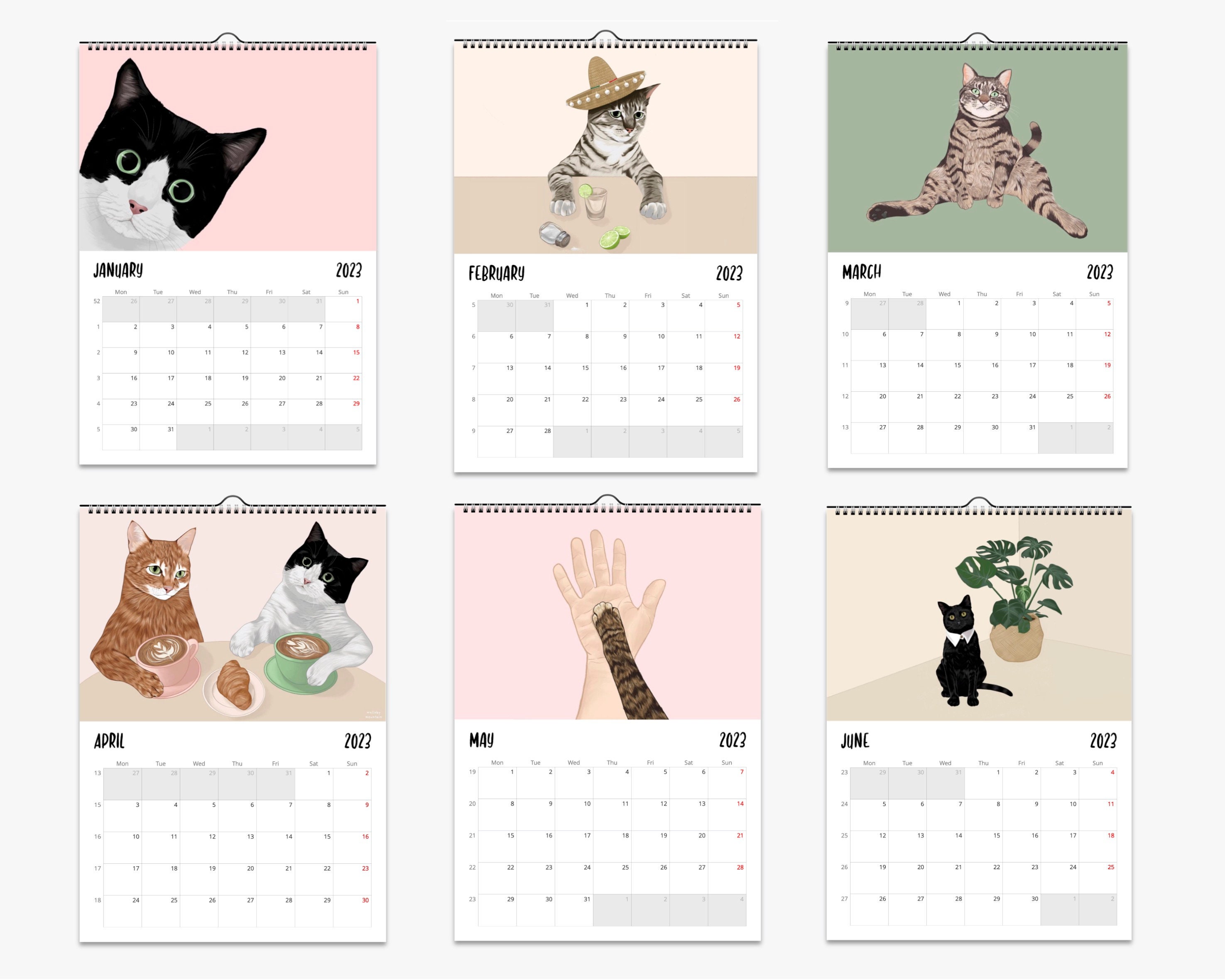 Cat Wall Calendar 2024