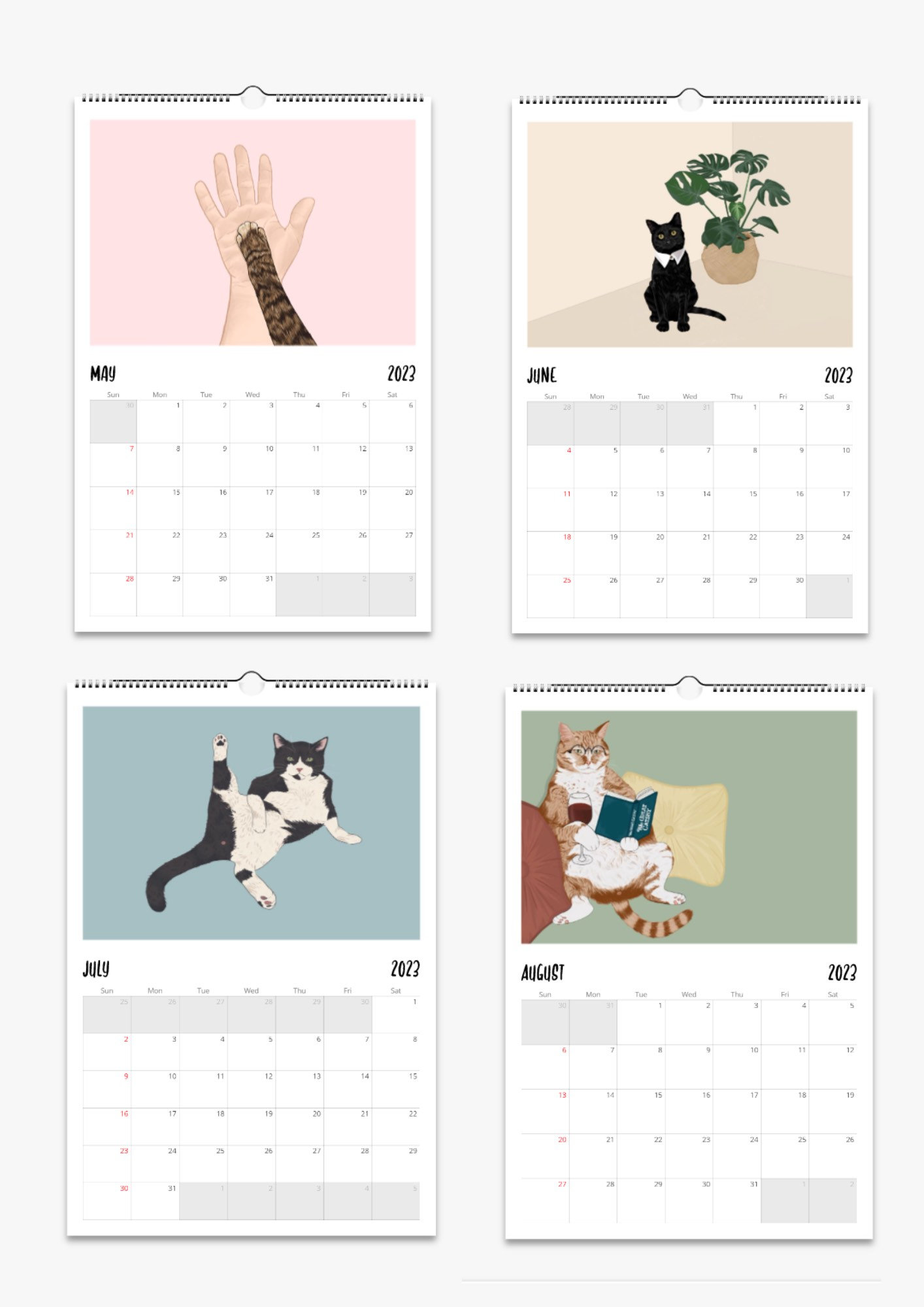 Cat Wall Calendar 2024