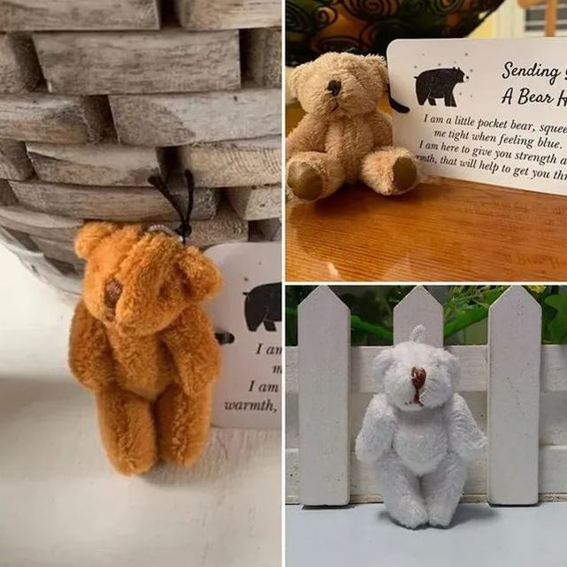 A Little Pocket Bear Hug