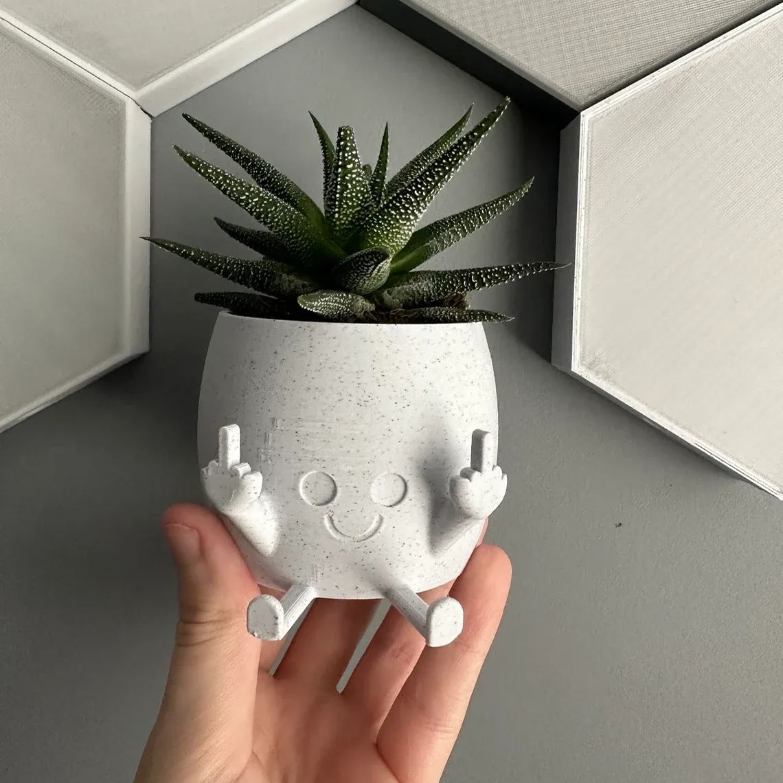 🤣Smiling Plant Pot with Middle Fingers Up