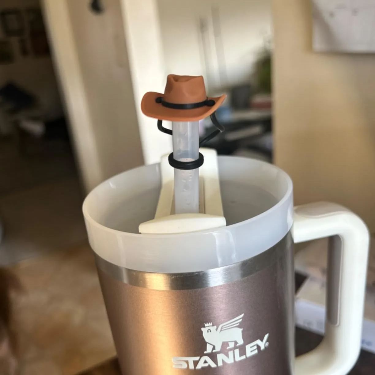 🤠🥤Silicone Cowboy Hat Straw Covers Cap