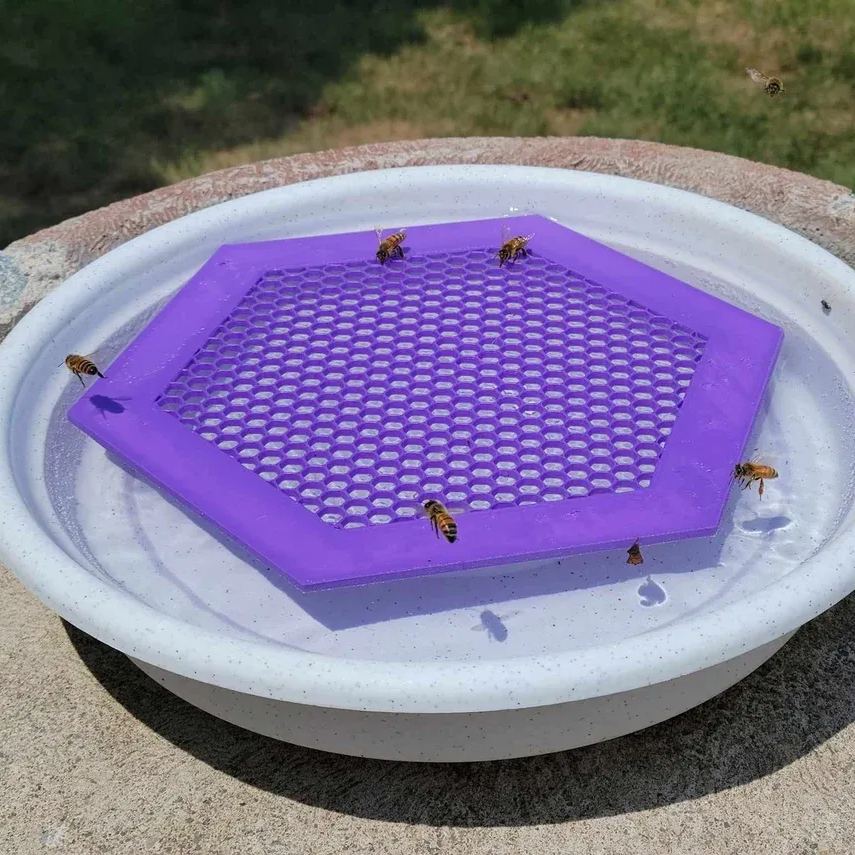  🐝Floating Bee Island