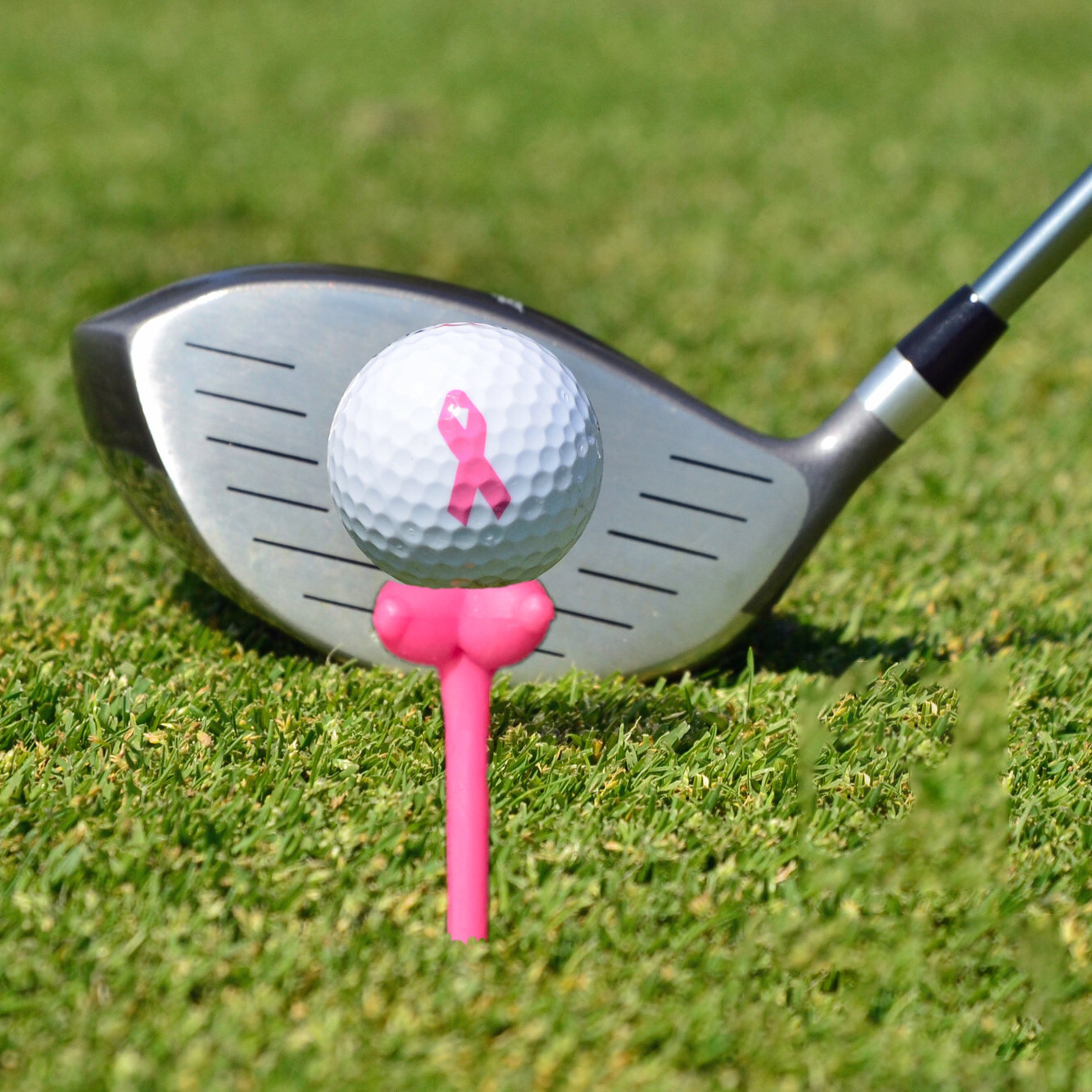 🤣Funny Golf Tees