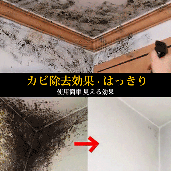 カビ除去剤