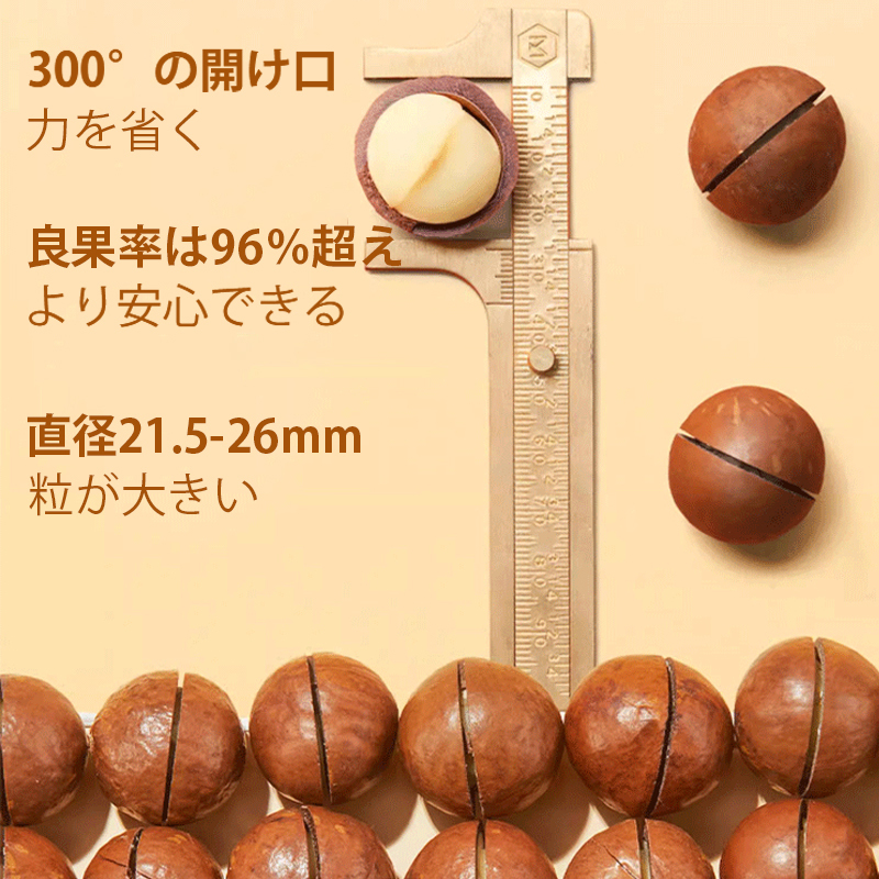 殻付マカダミアナッツ