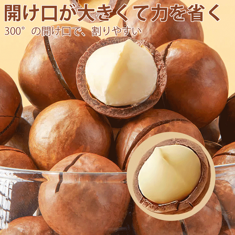 殻付マカダミアナッツ