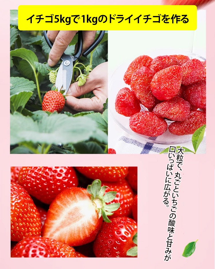 中文长图_24.jpg