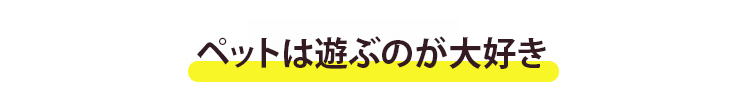 翻译件-FM-宠物PVC充气拍水垫睡垫-1181354-(1)_10.jpg