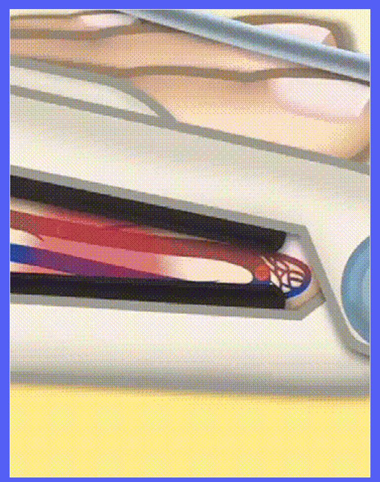 6.gif
