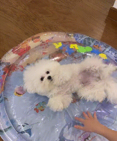 下载 (5) (2).gif