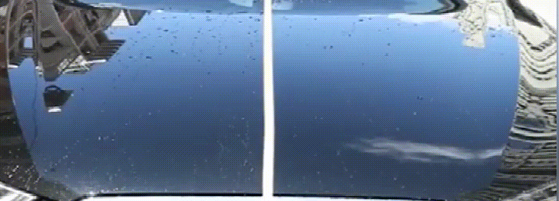8.gif