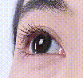 8.gif